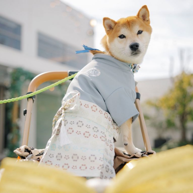 官兵衛ちゃん