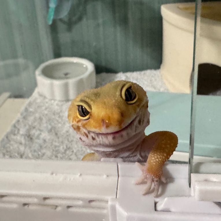 Rinちゃん