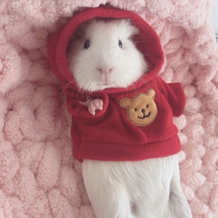 あいちゃんちゃん