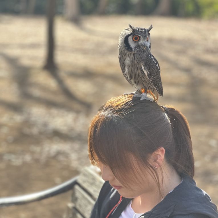 こはくちゃん