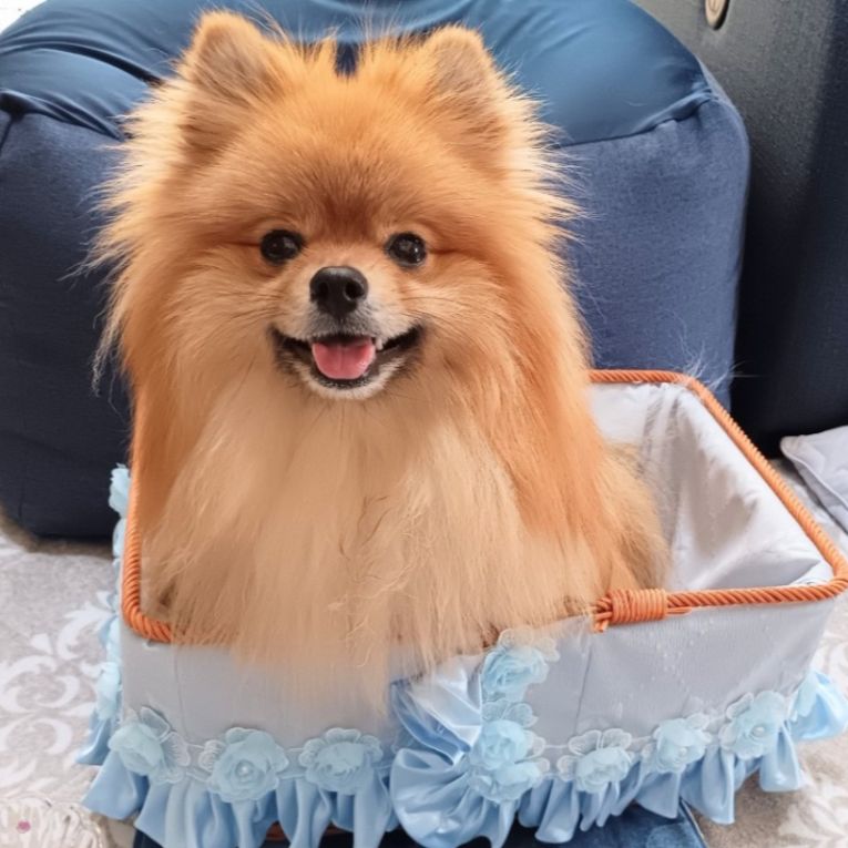 ちゃ太ちゃん