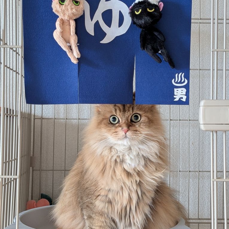 純(いと)ちゃん