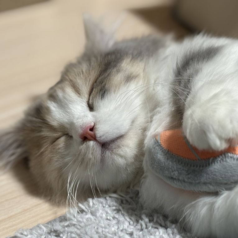 ちくわちゃん