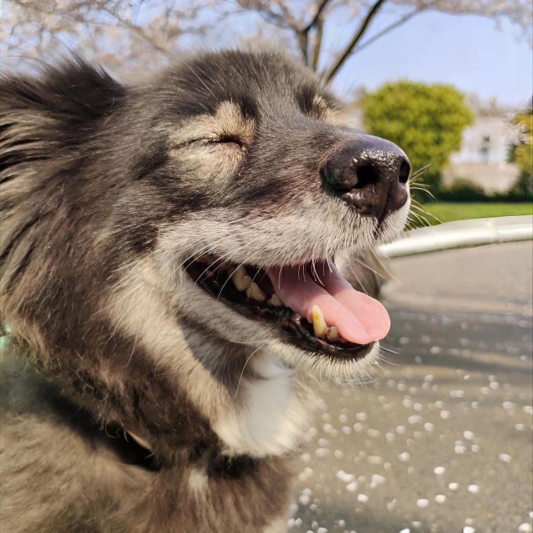 のんちゃん