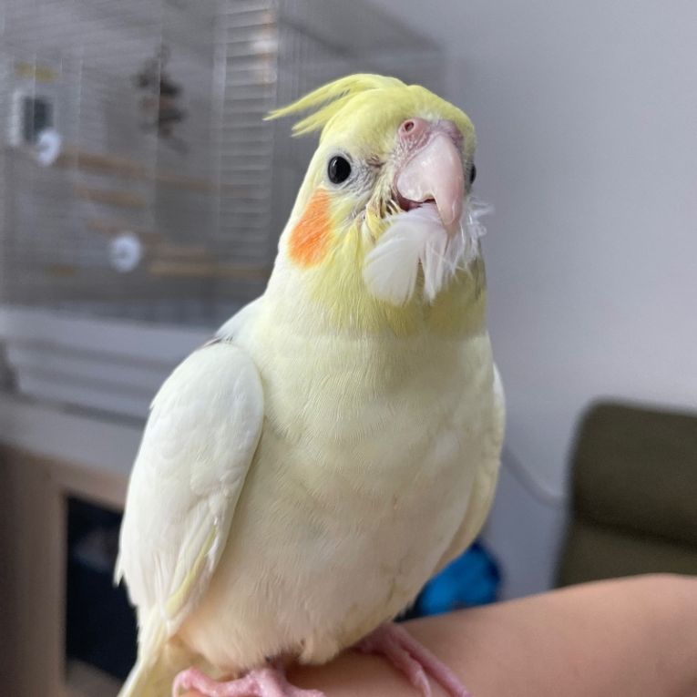 福ちゃん