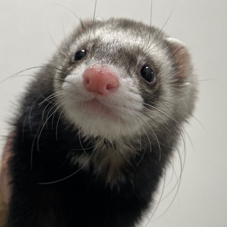 つなまよちゃん
