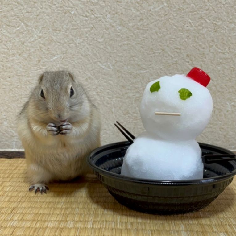 マシューちゃん