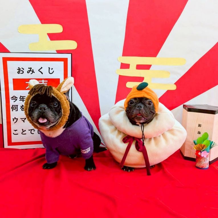 翔ちゃんと純ちゃんちゃん