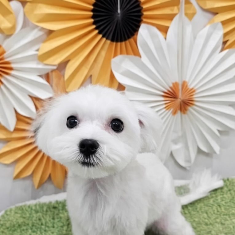 あきちゃん