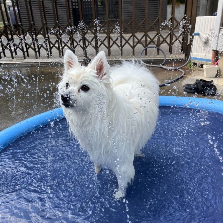 べるちゃん