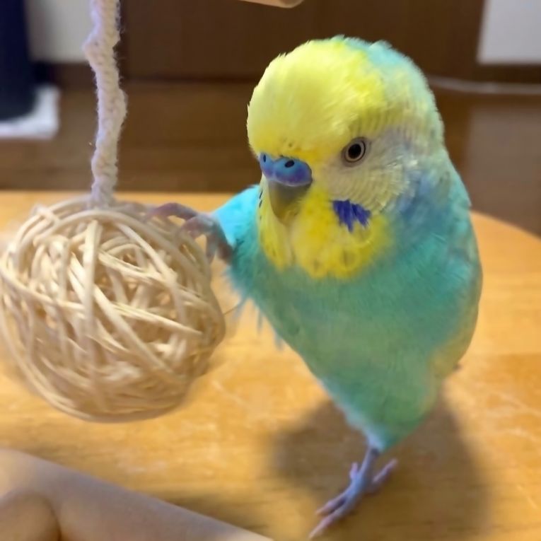 キキちゃん