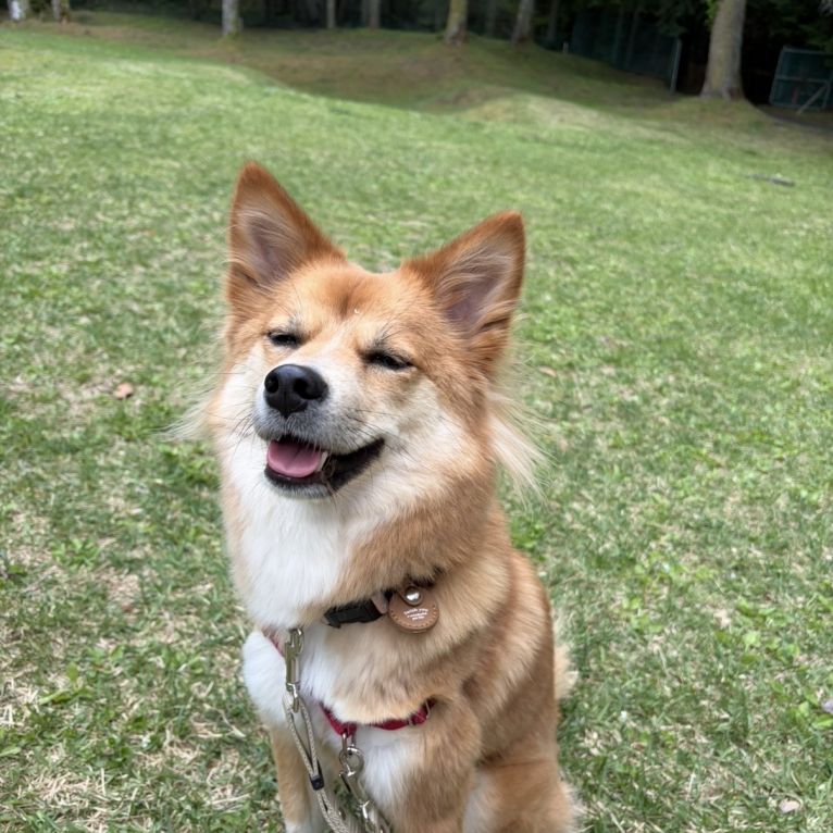 なのちゃん