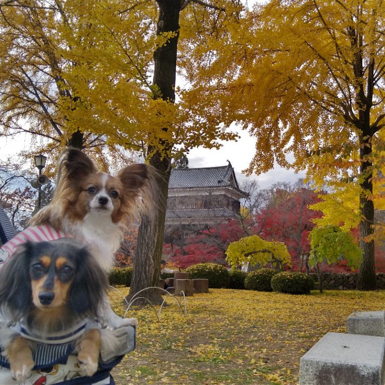 あんじゅ&にぃなちゃん