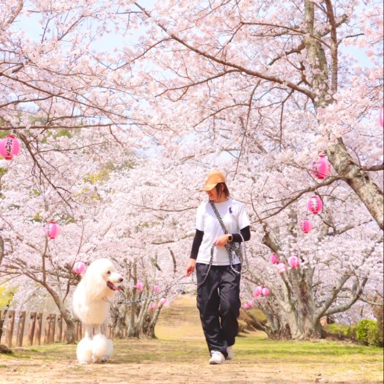 おにぎりちゃん
