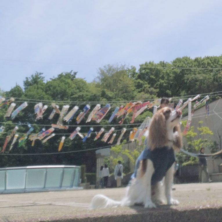 ジャンちゃん