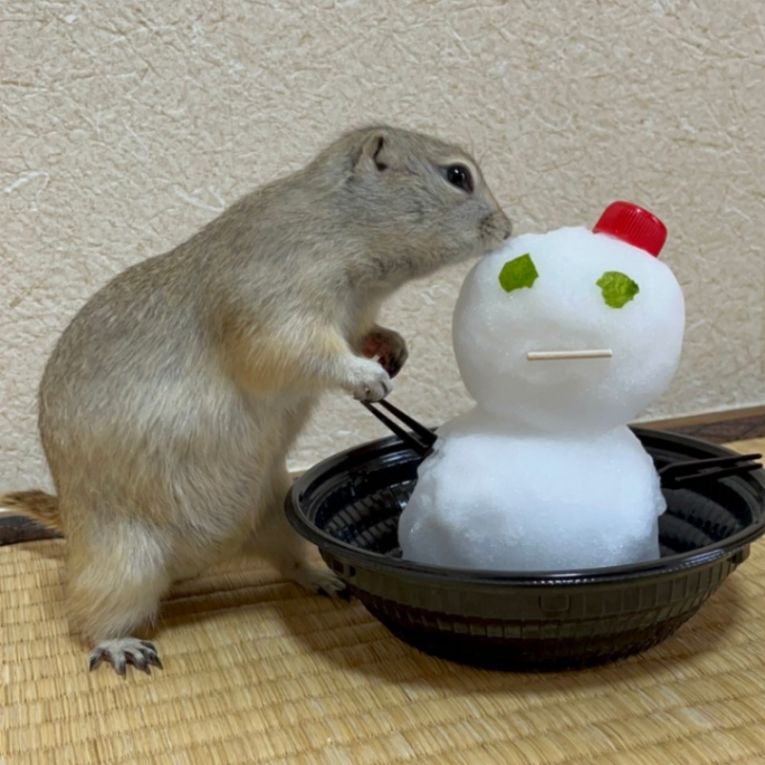 マシューちゃん