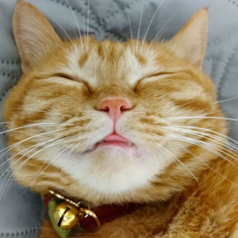 くりちゃん