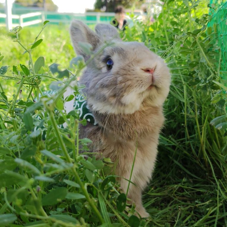 ふうたろうちゃん