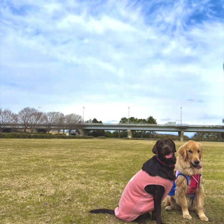 ラブ＆エマちゃん