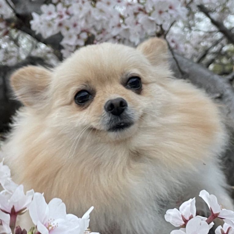海ちゃん