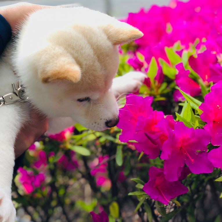 文太ちゃん
