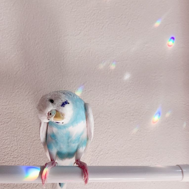 ヒロちゃんちゃん