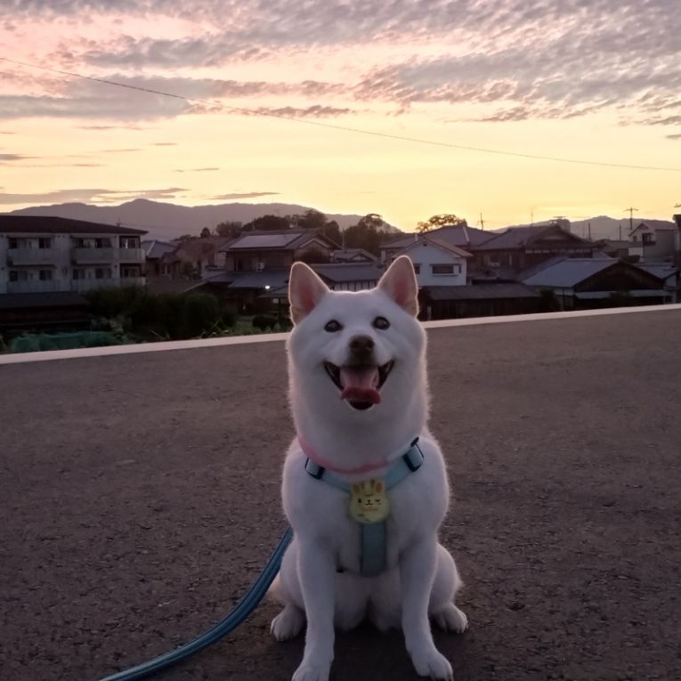 ゆきちゃん