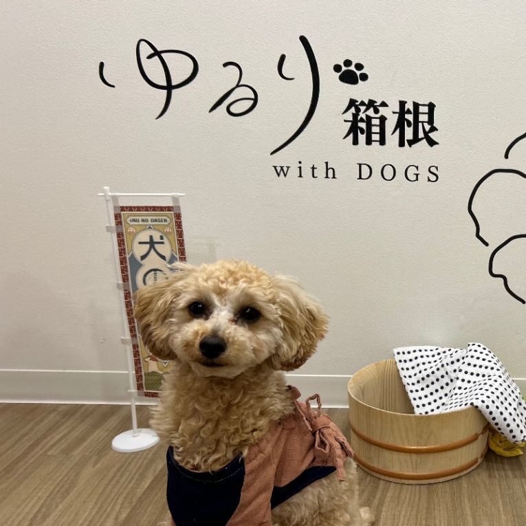 るいちゃん