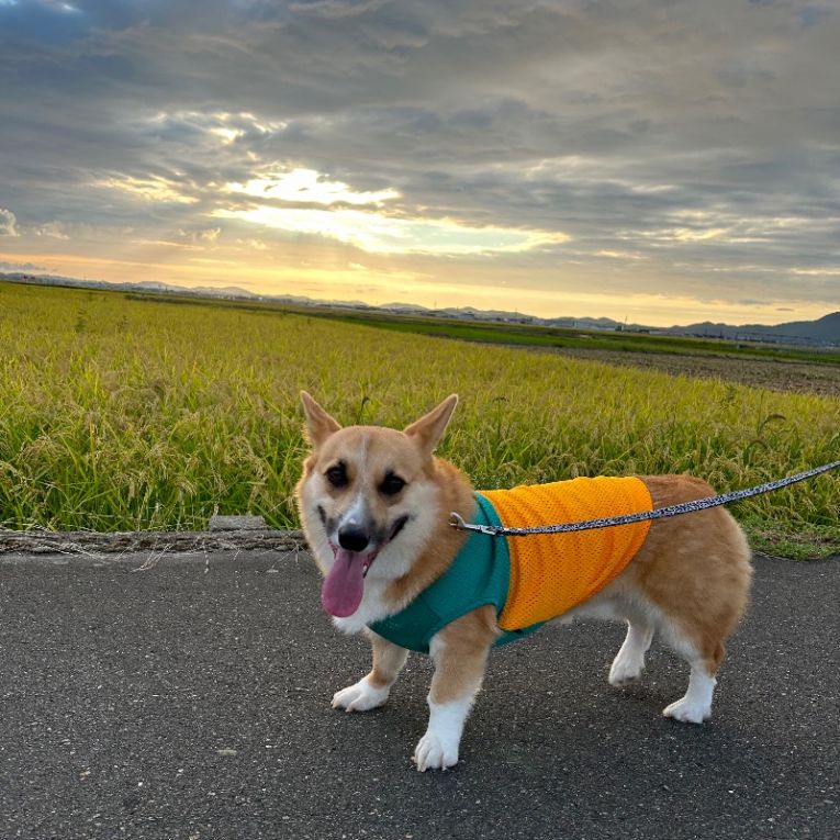 ルゥちゃん