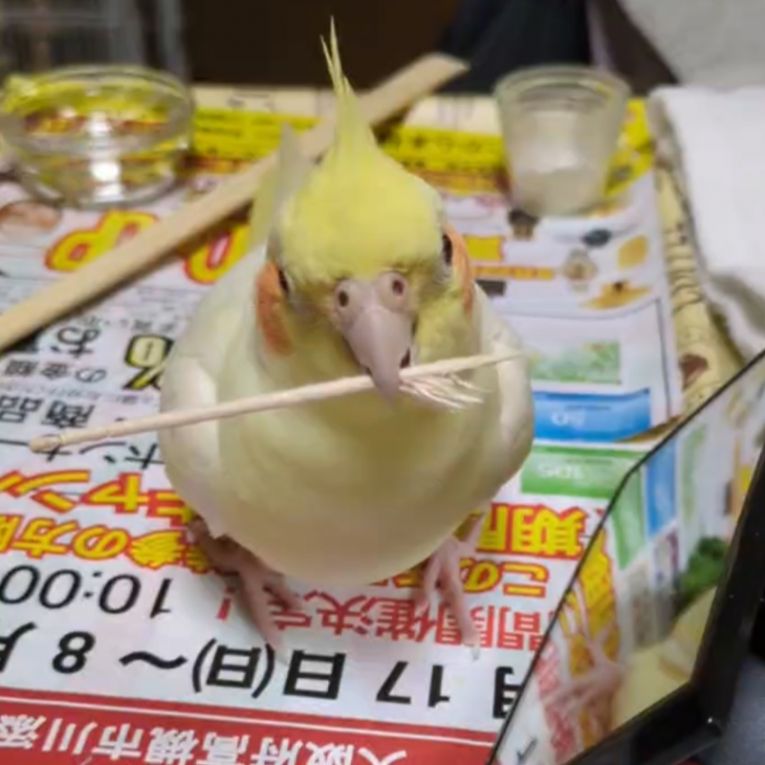 ぽい丸ちゃん