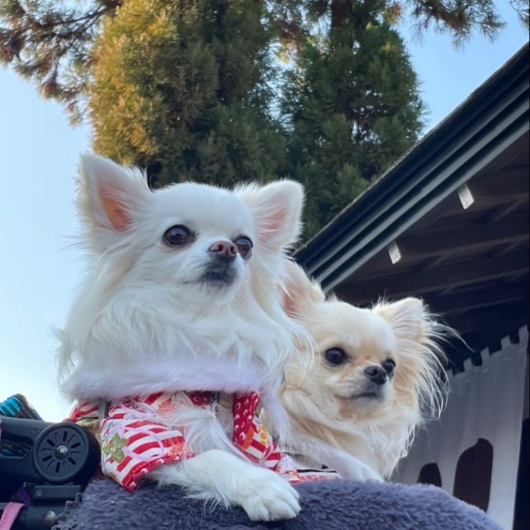 ViVi♡Eveちゃん