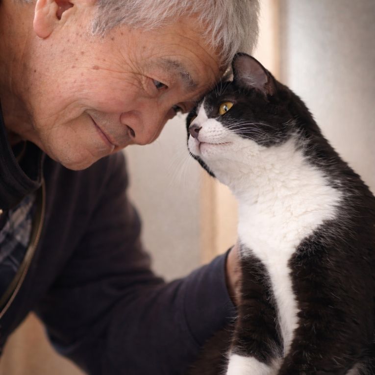 百福ちゃん