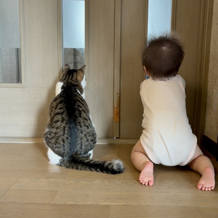 すだちちゃん