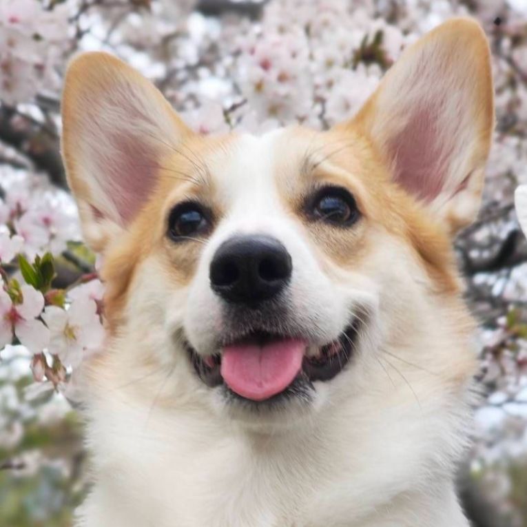 さやちゃん