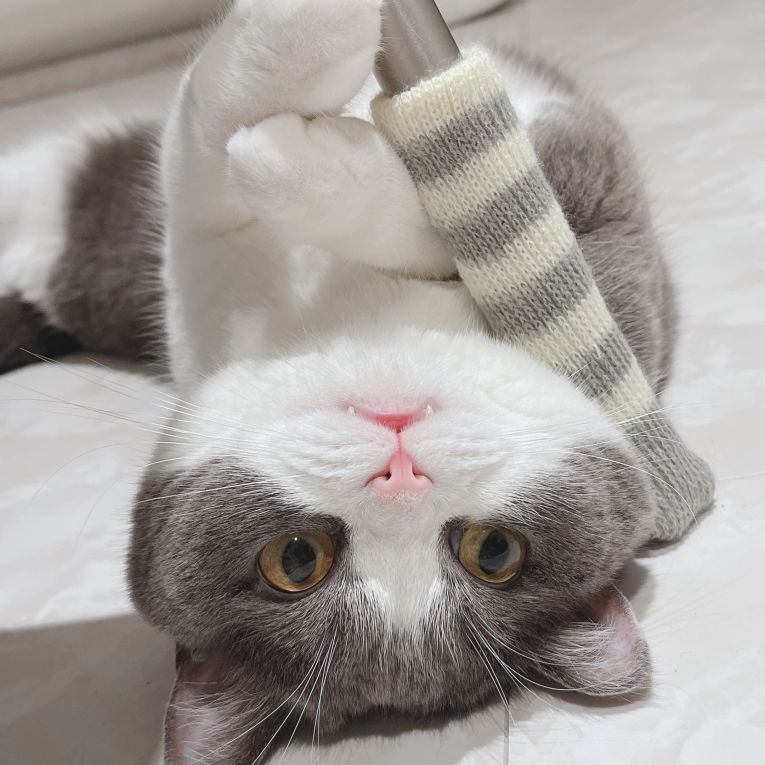アンバーちゃん
