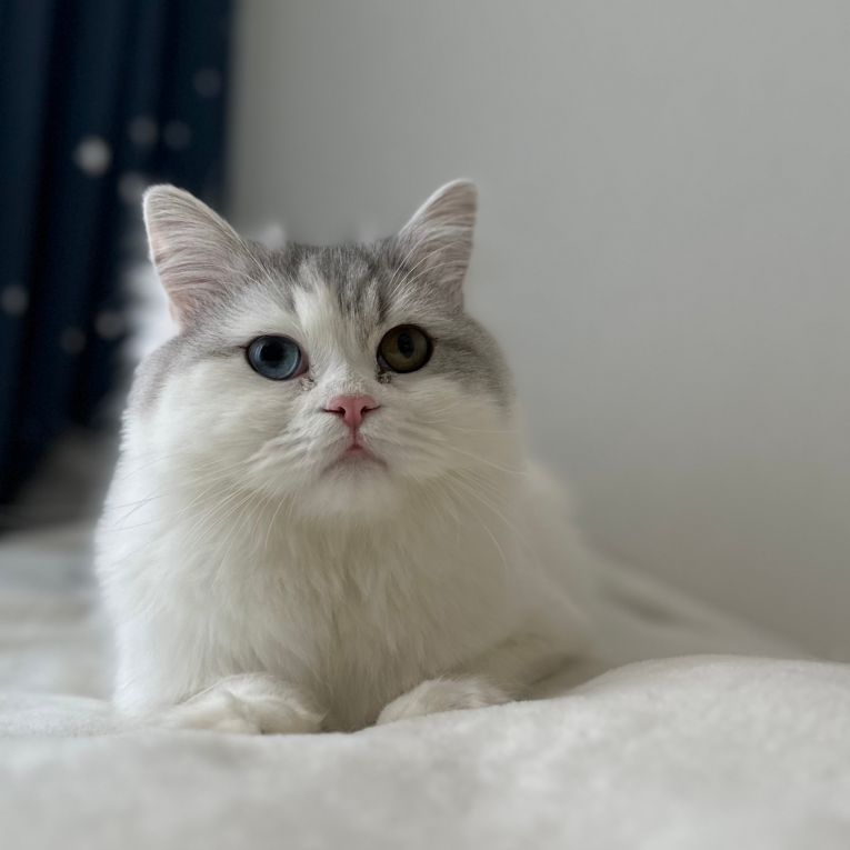 Aleちゃん