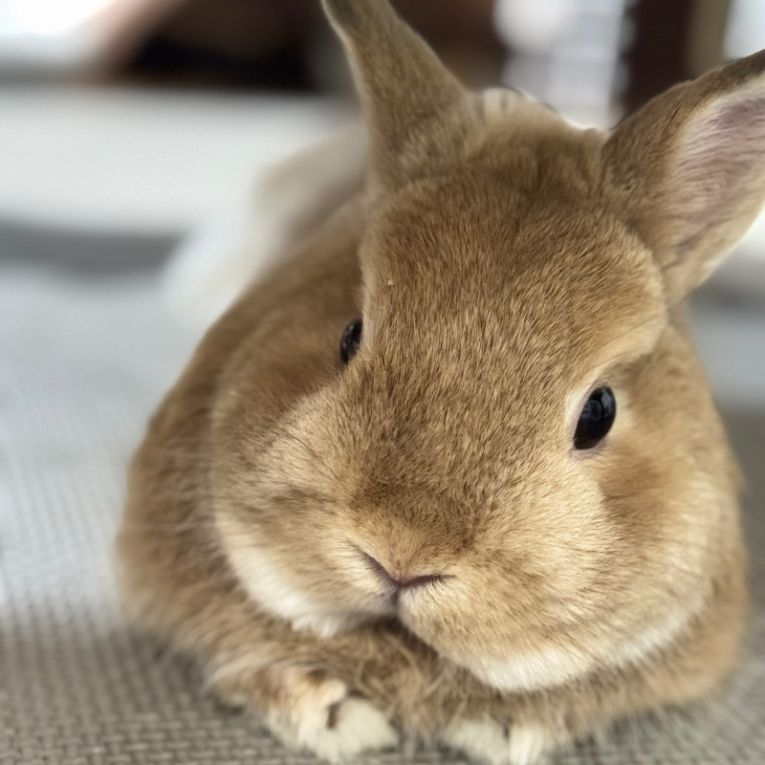 殿ちゃん