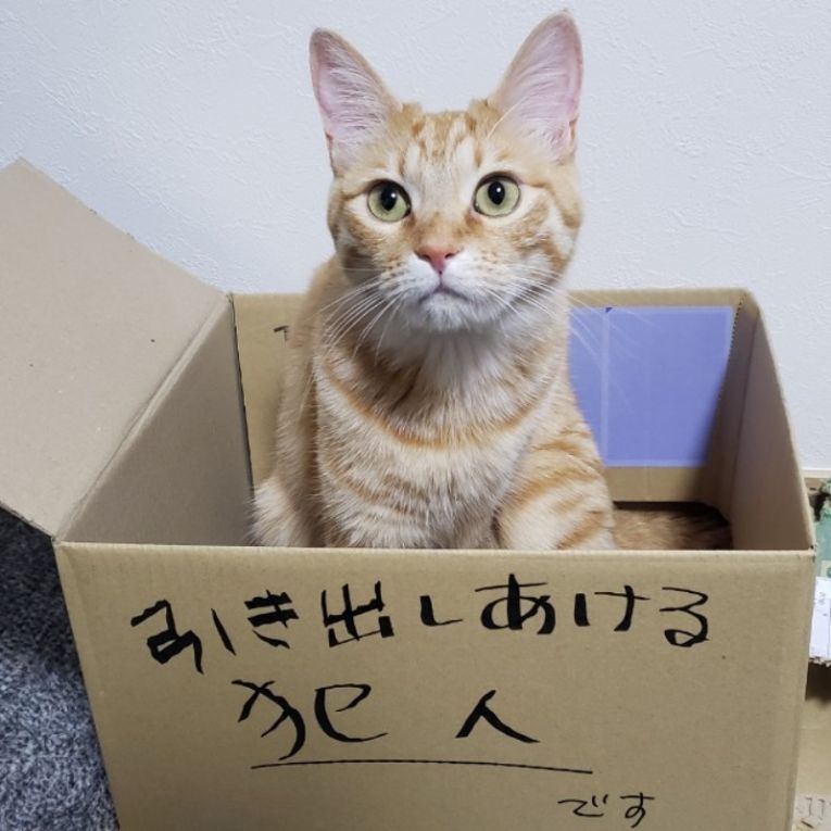 あきちゃん