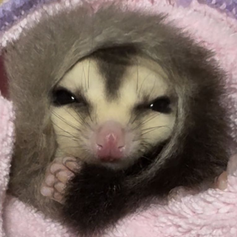 翠ちゃん