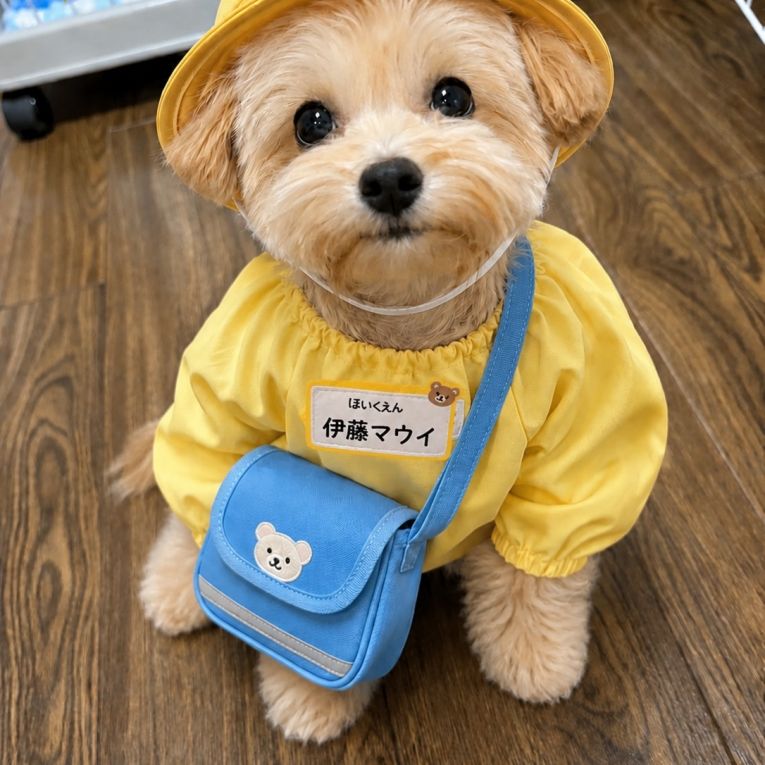 まういちゃん