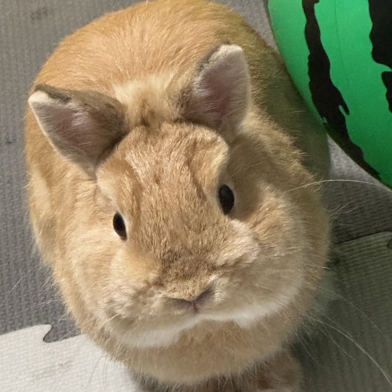 殿ちゃん