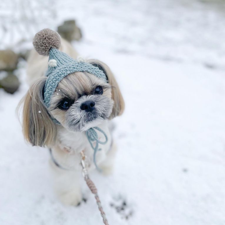 ルークちゃん
