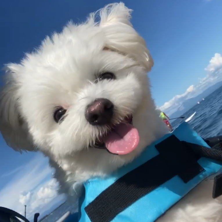 璃空ちゃん
