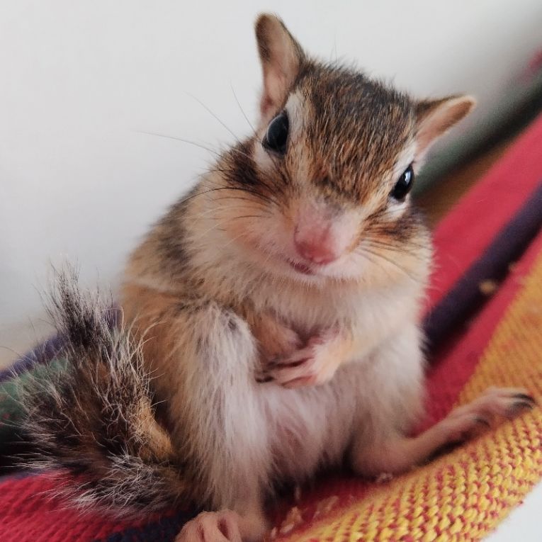 大豆ちゃん