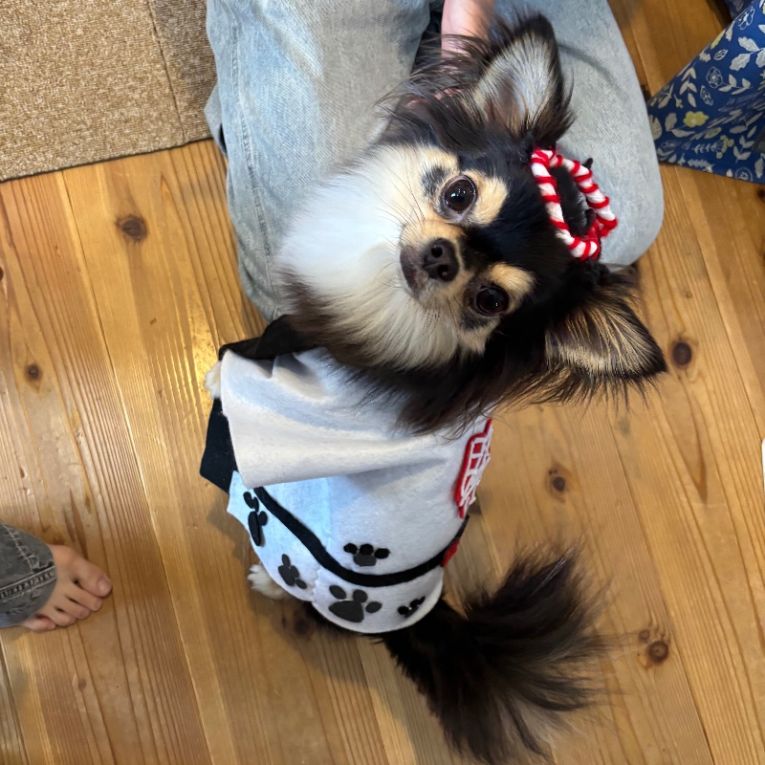 コロンちゃん