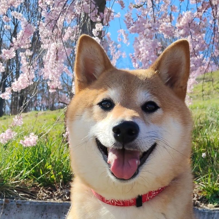 うめちゃん