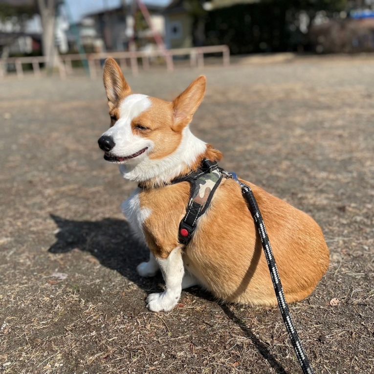 オミちゃん