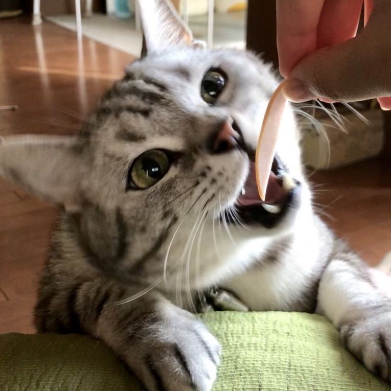 ショウちゃん