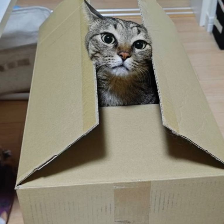 なぎちゃん