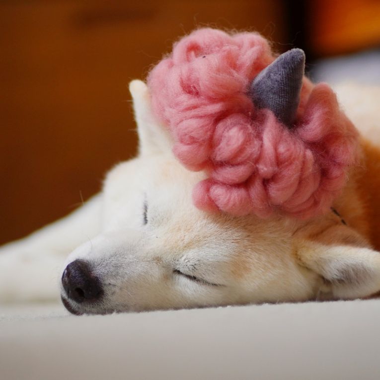 麦ちゃん